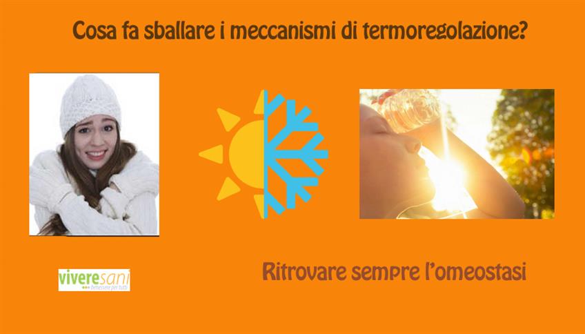 Termoregolazione corporea Termoregolazione corporea